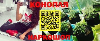 а пвп мука Лесосибирск